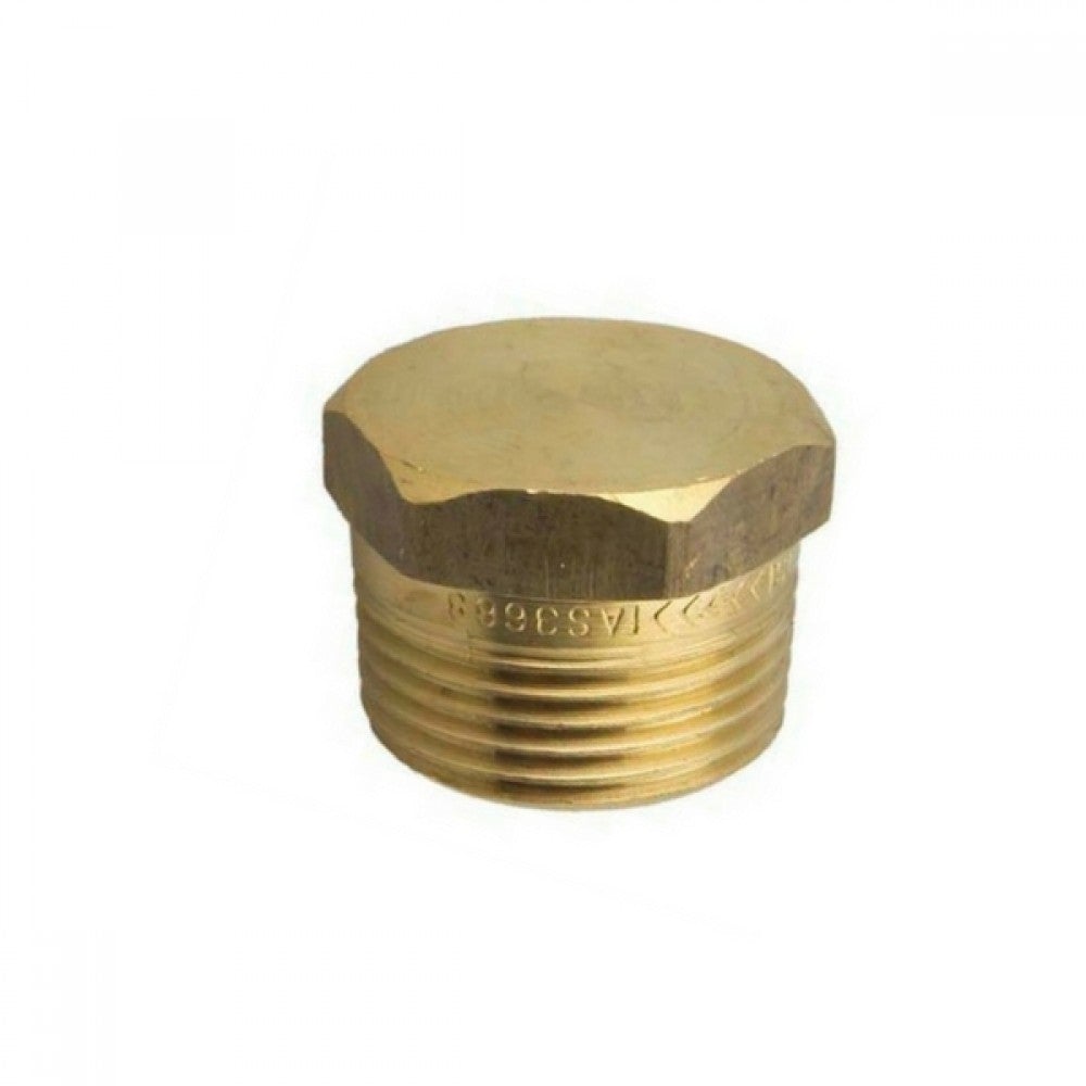 Plug-Hex Screwed Brass 25mm