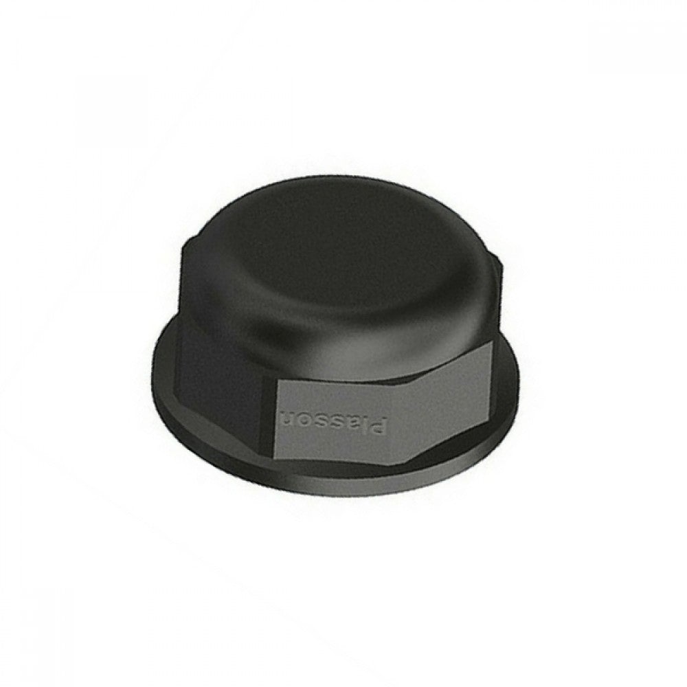 Poly Threaded Cap & Washer 20mm